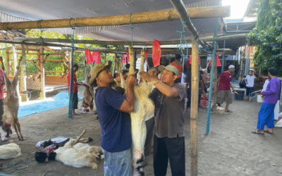 Kegiatan Tebar Qurban 1446 H