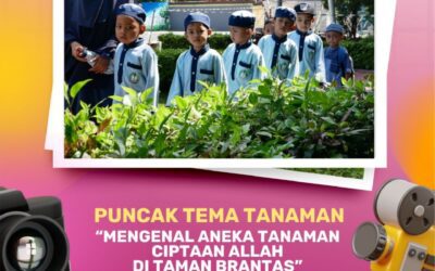 Puncak Tema Tanaman