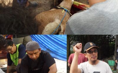 Tebar Qurban 1447 H / 2026